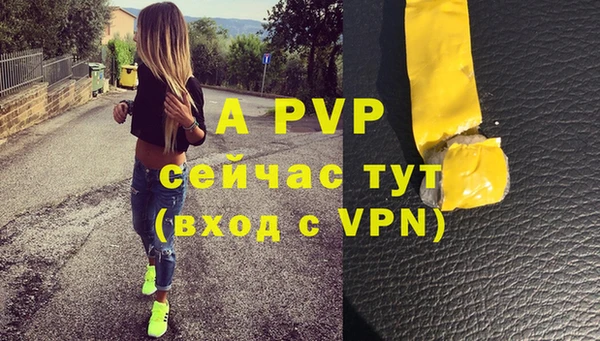 стафф Аркадак