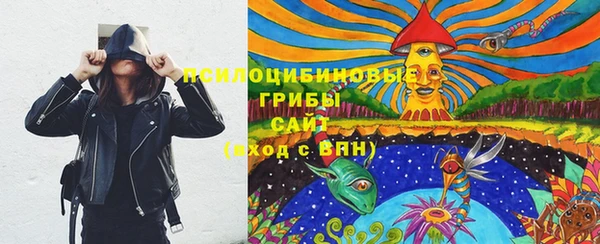 ГАЛЛЮЦИНОГЕННЫЕ ГРИБЫ Армянск