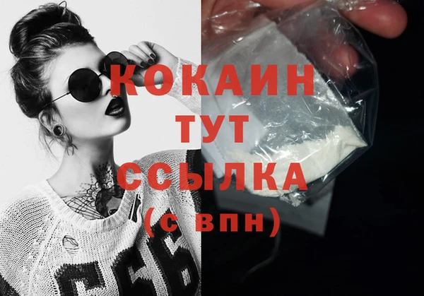 стафф Аркадак