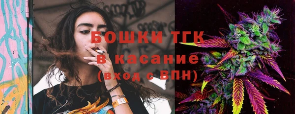 дмт Арсеньев